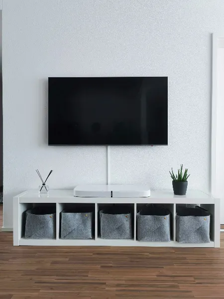 Mounting and Assembly Services